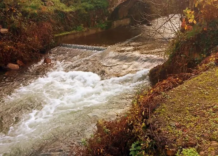 Junto Al Sella Crle834 Ribota